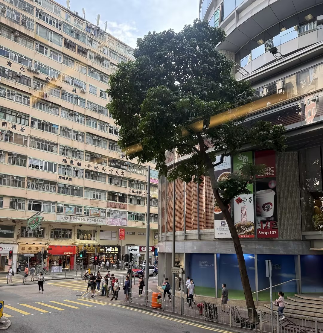 1742970090220849.jpg b4e412ca-fc12-41fe-972a-4049bf25b4cf_副本.jpg